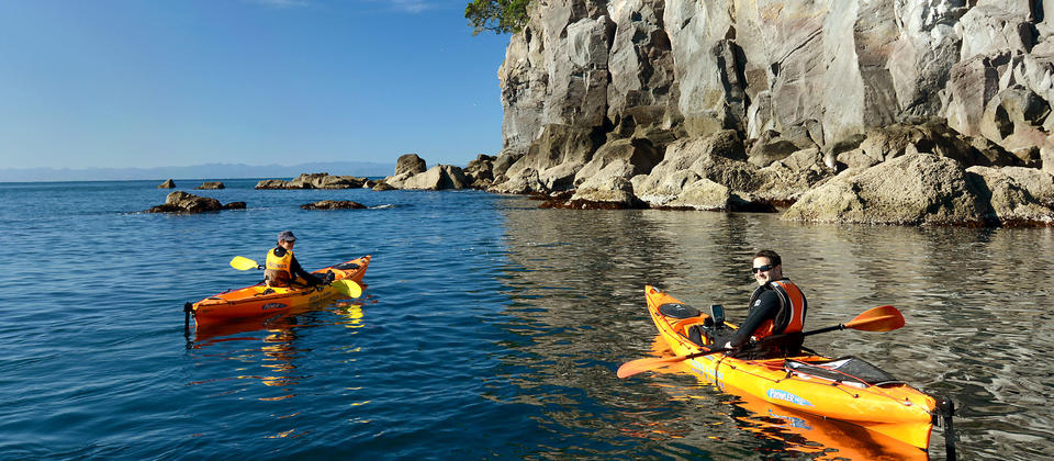 Kayak around Moutohora Whale Island