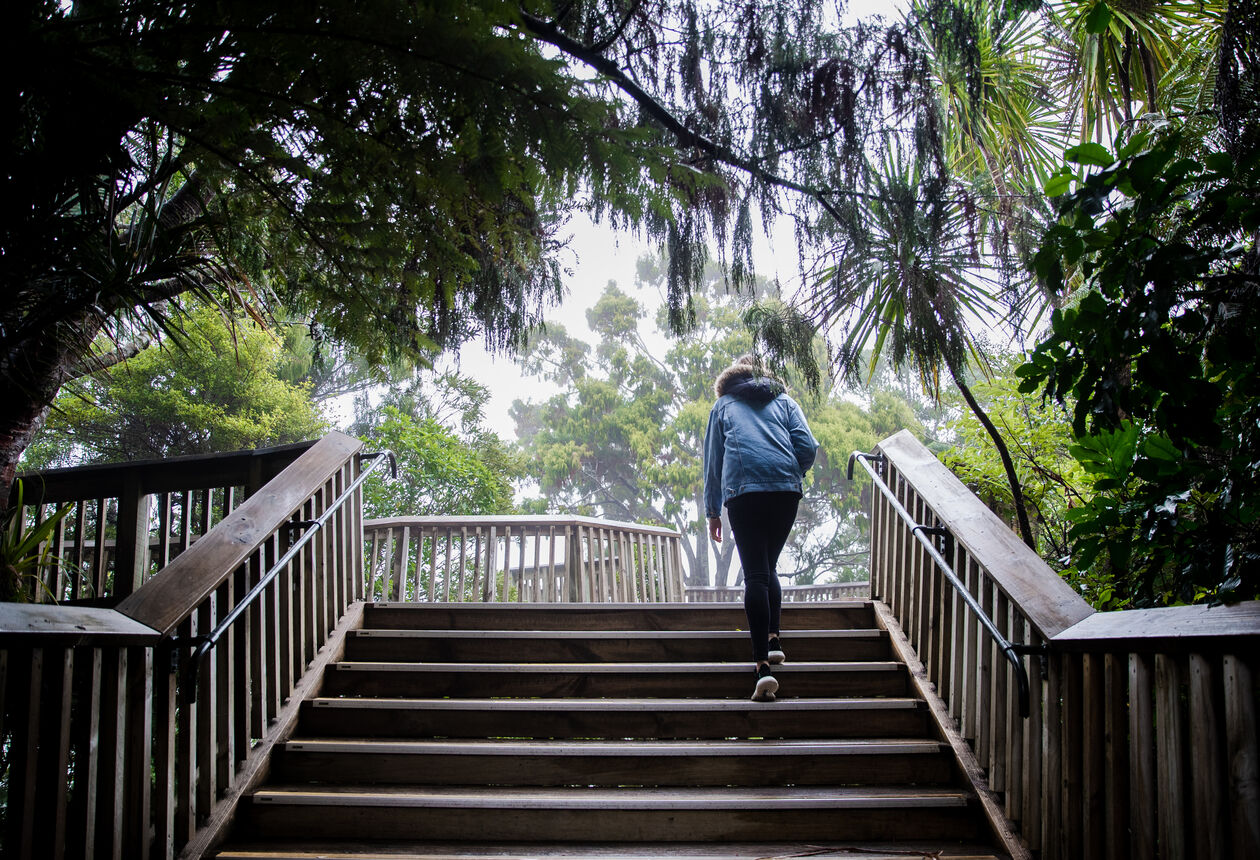 Auckland offers a diverse range of scenery and the same goes for day walks in the area. All within a few hours’ drive – or ferry ride – of the CBD.