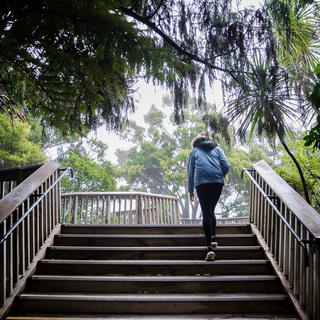 Arataki Visitor Centre, West Auckland 