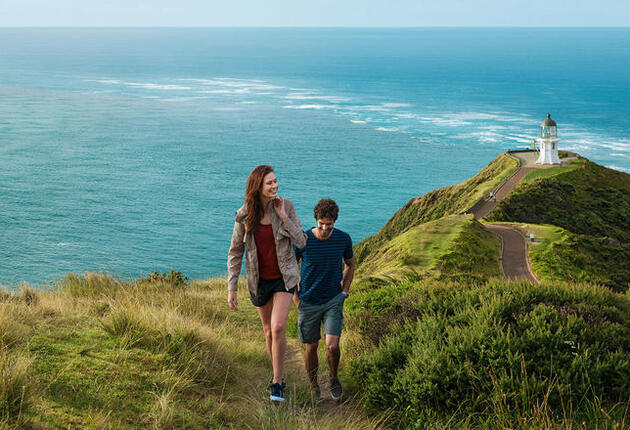 Cape Reinga is ultimate northern New Zealand. See two oceans collide & discover the place of leaping, where Maori spirits begin their final journey.
