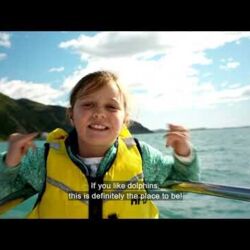 Our dolphins are jumping with excitement for you to visit when the time is right.