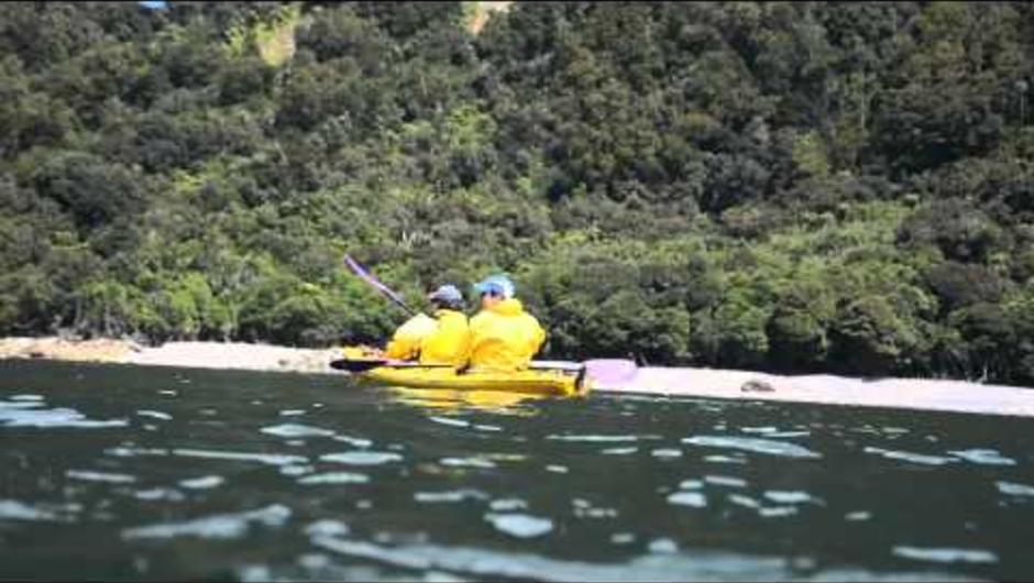 Experience Sea Kayaking in Milford Sound