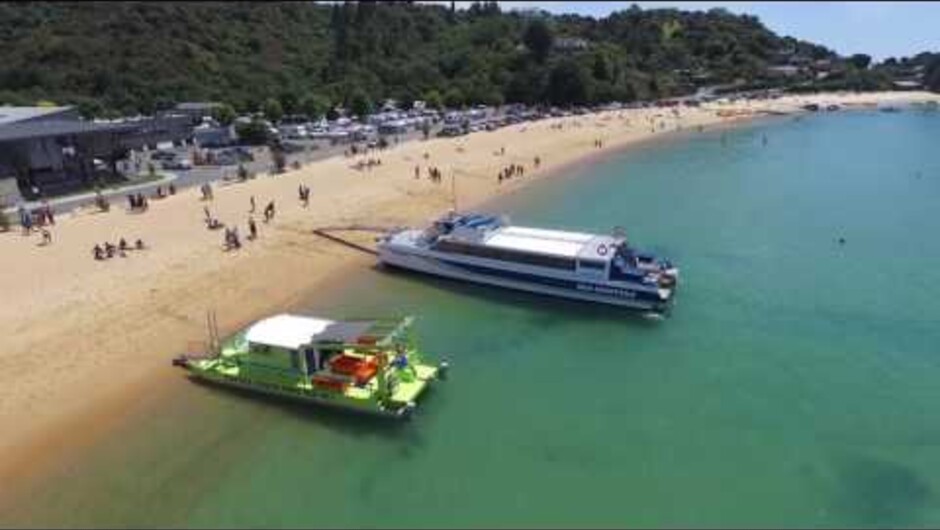 Welcome to Kaiteriteri and the world famous Abel Tasman National Park