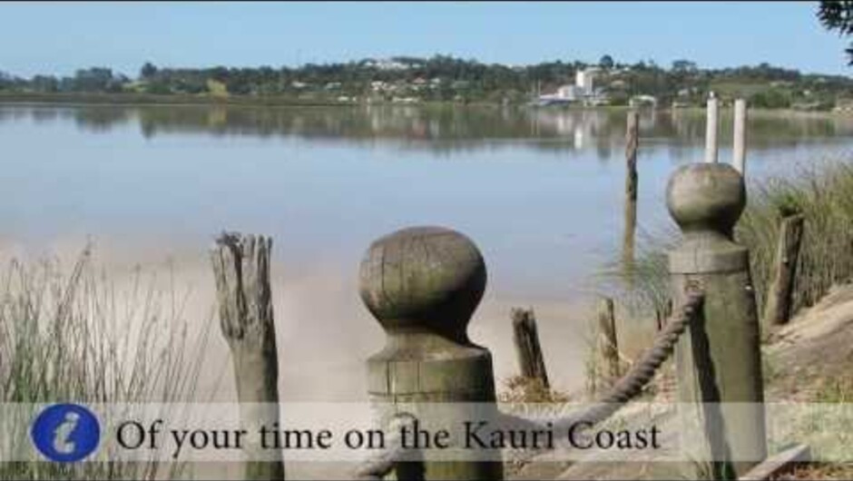 Dargaville things to do, Kauri Coast Information Centre - Accommodation, Activities and attractions
