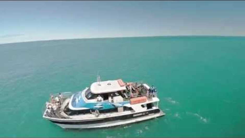 Summer 2015 in Akaroa has been fantastic so far. This season we have captured some brand new aerial footage of our Akaroa Harbour Nature Cruise to bring you the most scenic video we have shot to date.