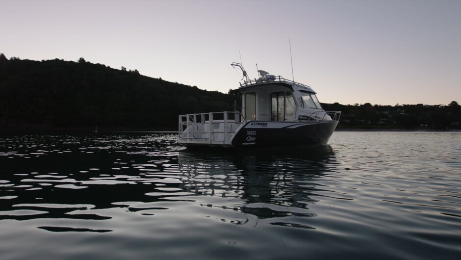 A showcase of our Extreme Boats and the magic we see on the Hauraki Gulf Come along to the 2017 Hutchwilco boat show to see the unveiling of our new boat