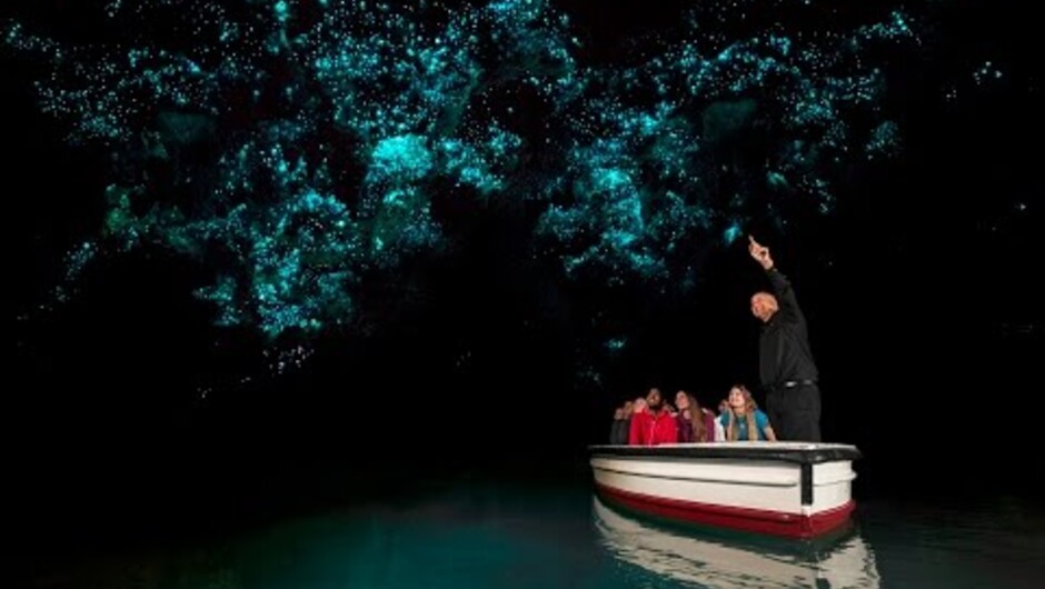 Discover Waitomo Glowworm Caves | New Zealand
