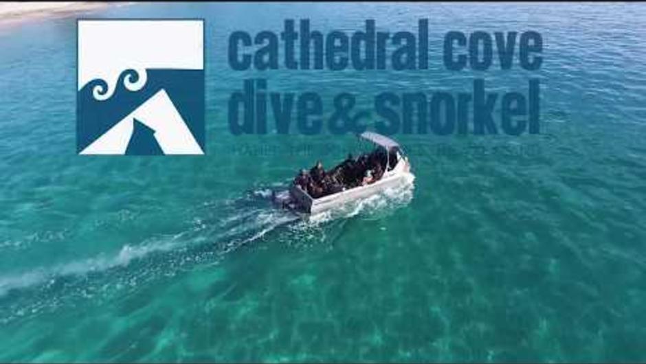 Underwater Scenes found diving with Cathedral Cove Dive & Snorkel in Hahei, New Zealand