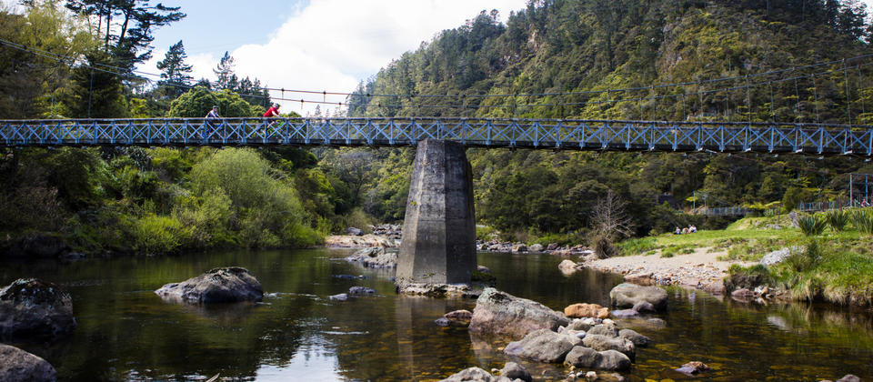 One of New Zealand&#039;s easiest Great Rides, Hauraki Rail Trail follows old railway lines between the historic gold towns of Thames, Paeroa, Te Aroha and Waihi. It offers contrasting scenery from the salt-licked Firth of Thames and verdant Hauraki Plains, to