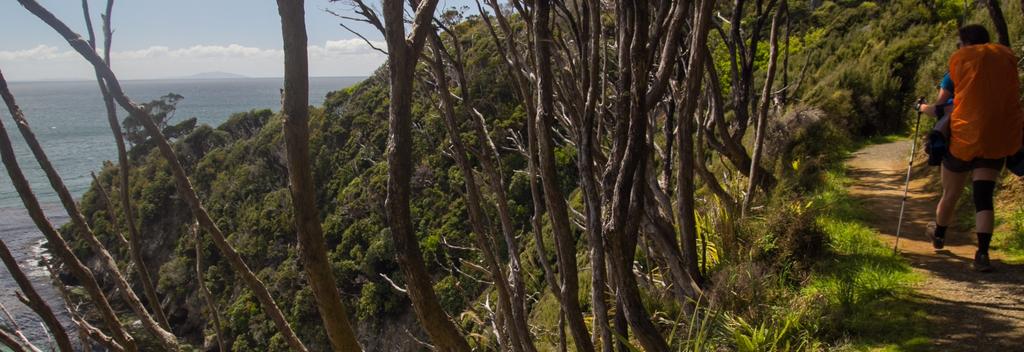 The Rakiura Track on Stewart Island is one of the New Zealand Department of Conservation's nine Great Walks.