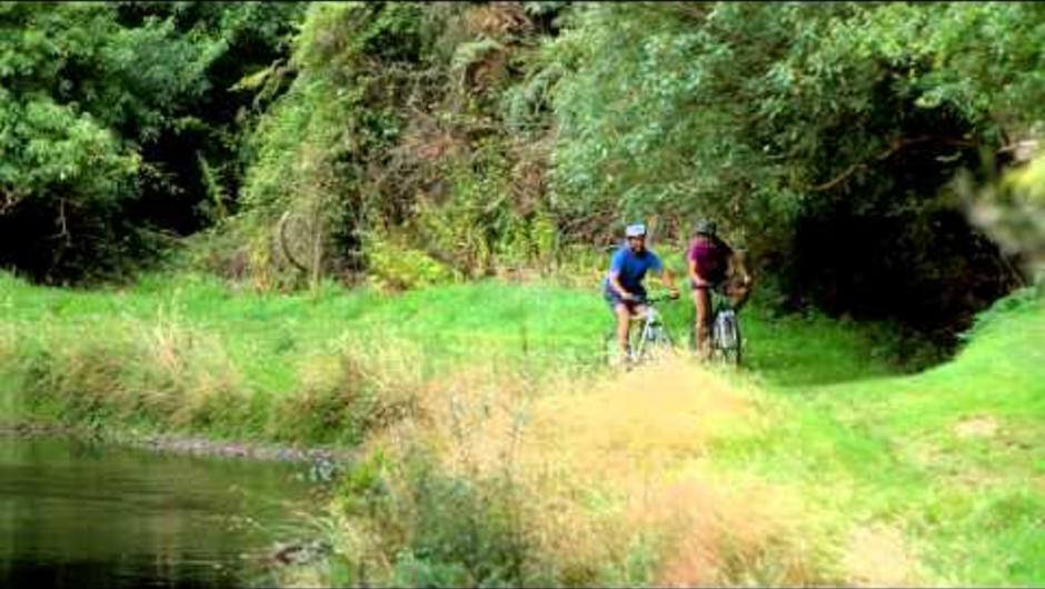 The Timber Trail, purpose-built for cycling, follows two old logging tramways through some of the North Island's most beautiful areas, including rivers, waterfalls and exotic forestry.