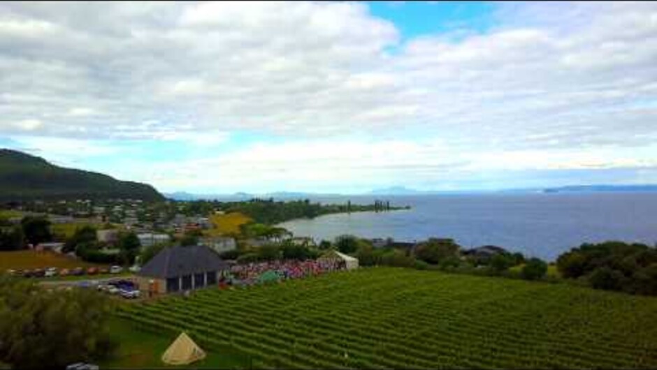 Beautiful shots by @mischa.malane of Streamblock Vineyard in New Zealand. www.streamblock.co.nz
