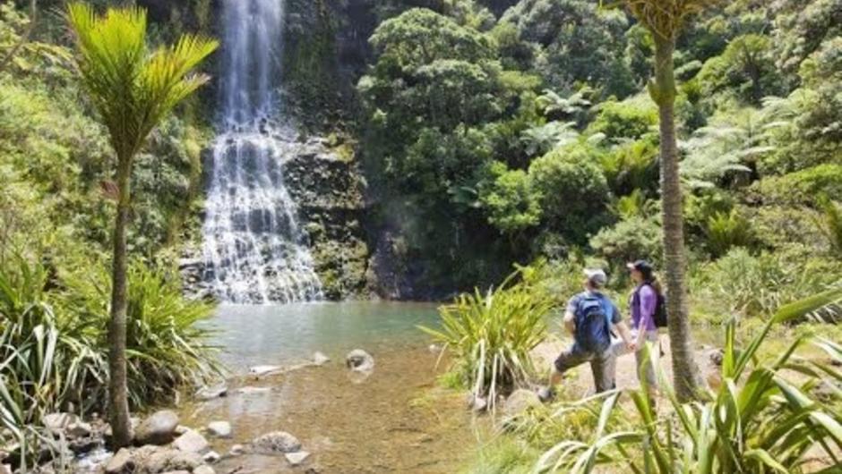 Experience the very best of Auckland city, the Marine village of Devonport, Auckland&#039;s glorious West Coast and Waitakere Ranges on this full day tour with TIME Unlimited Tours, winner of multiple global awards including the National Geographic World Legac