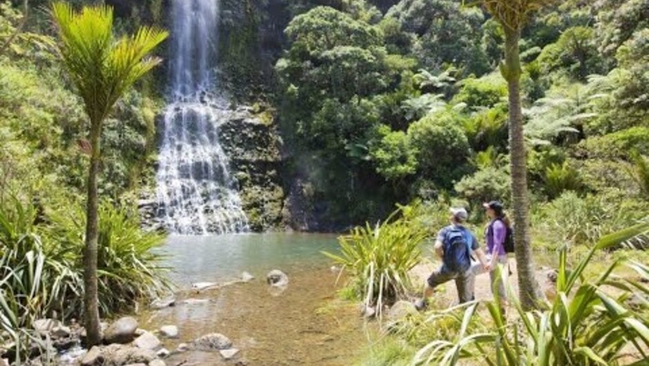Experience the very best of Auckland city, the Marine village of Devonport, Auckland's glorious West Coast and Waitakere Ranges on this full day tour with TIME Unlimited Tours, winner of multiple global awards including the National Geographic World Legac