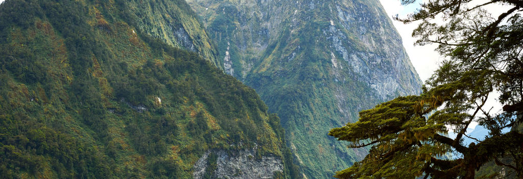 Embrace adventure in the heart of New Zealand wilderness, all captured in a stunning 360 degree video.