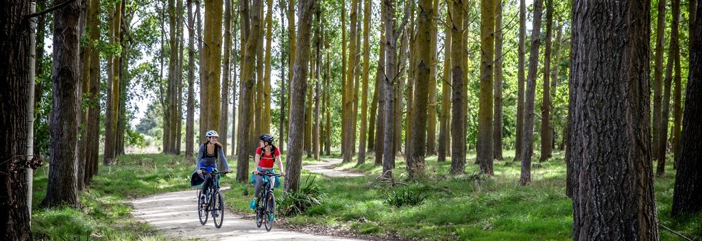 Explore the West Coast Wilderness, Alps 2 Ocean and Hawke's bay trails.