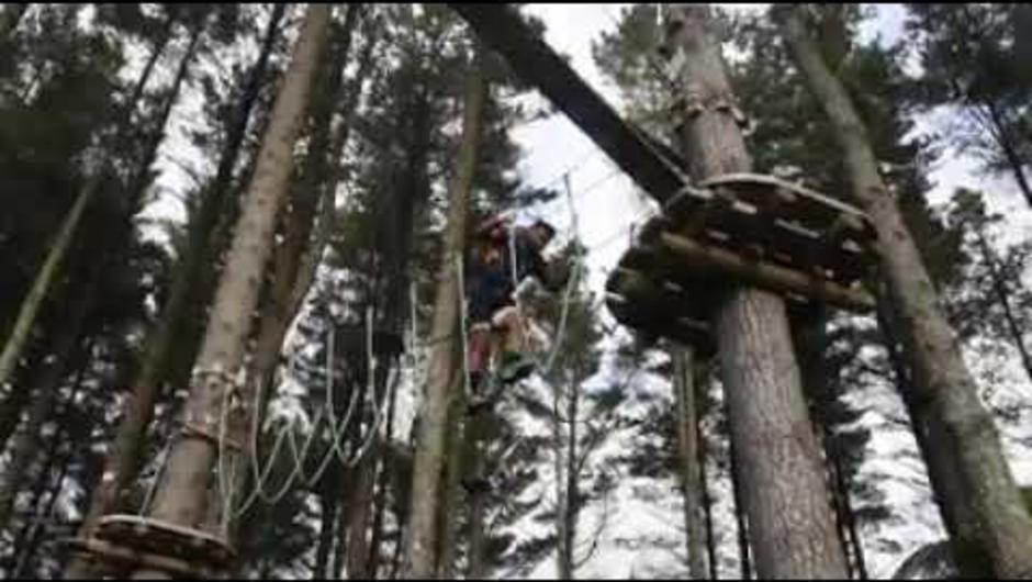 Thanks to the guys at Adrenalin Forest NZ for having our High Performance group along last week and hang out in the tree tops! Check out the video of the group below! #NotAfraidOfHeightsAnymore #AdrenalinForest #BayWide #BayPride #TeManaOToi