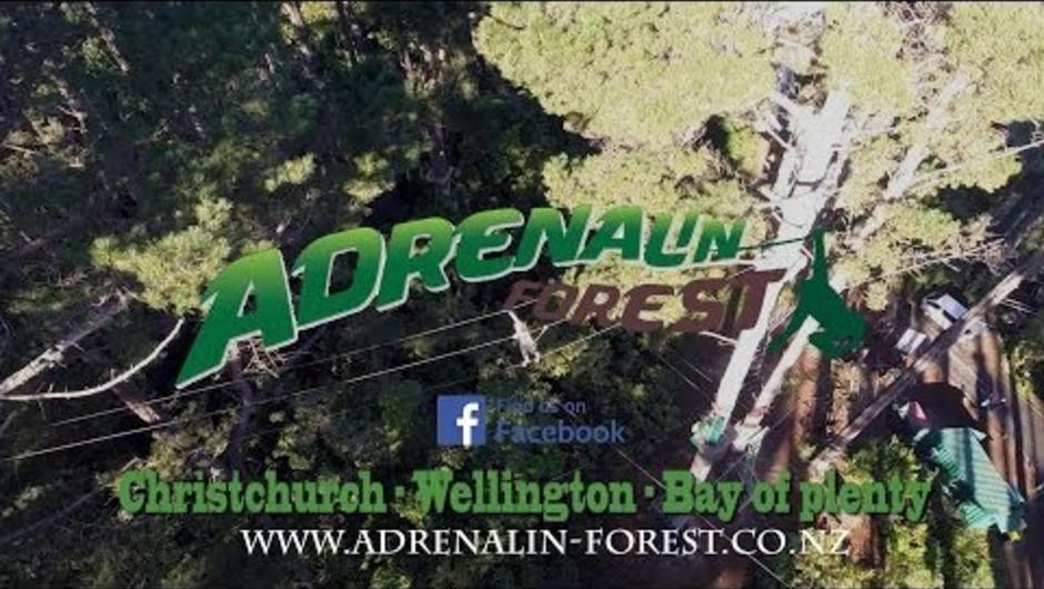 Adrenalin Forest Aerials - How far will you go?