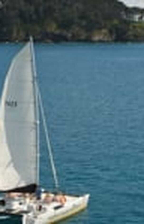 loading placeholder image