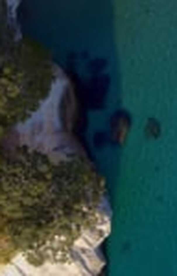 loading placeholder image