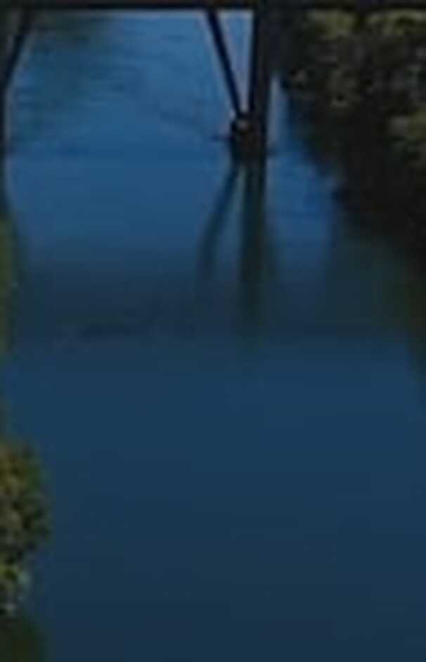 loading placeholder image