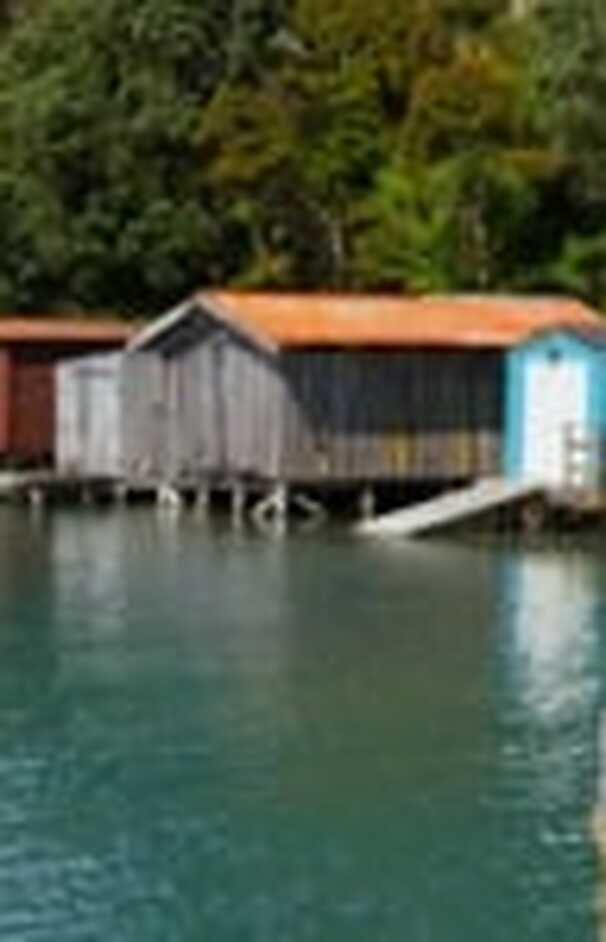 loading placeholder image