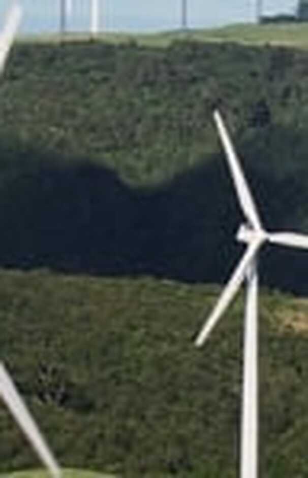 loading placeholder image