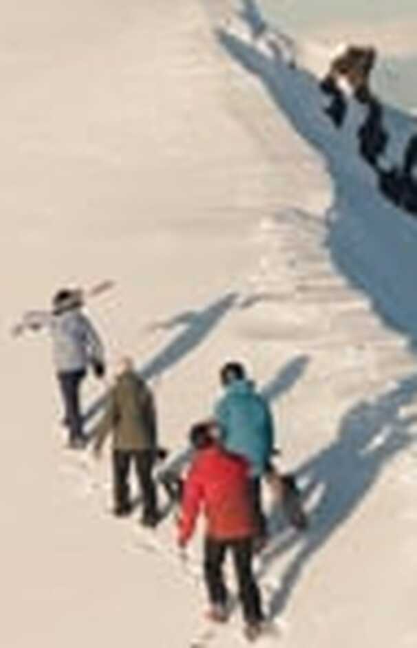 loading placeholder image