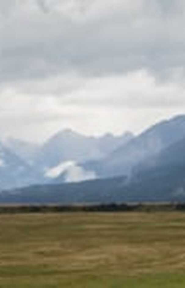 loading placeholder image