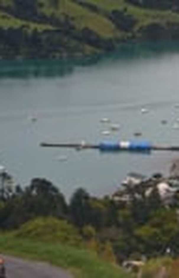 loading placeholder image