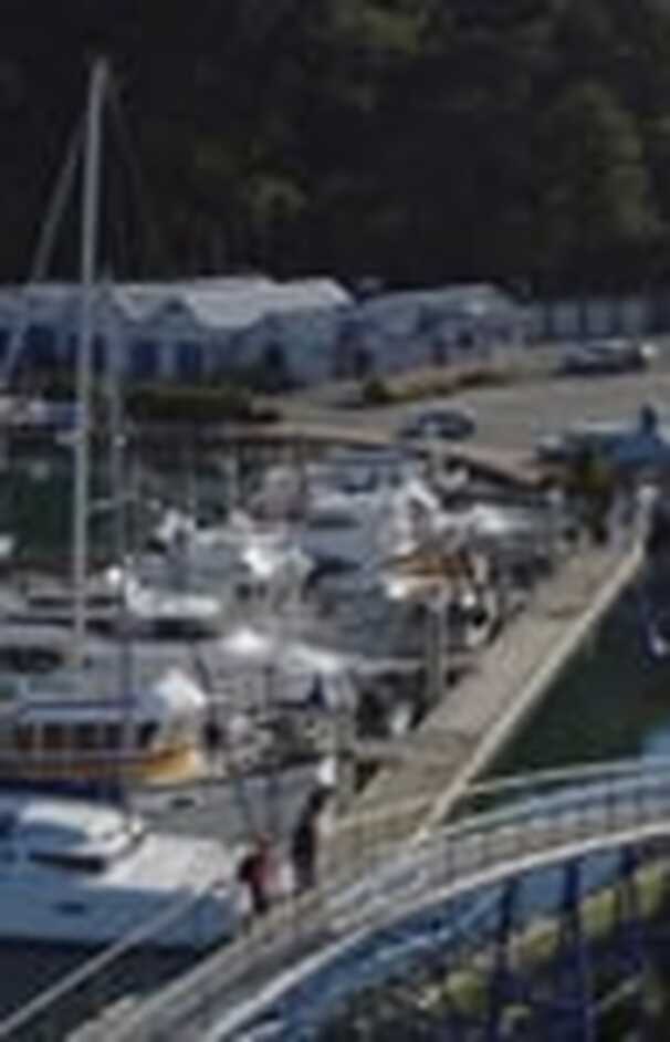 loading placeholder image