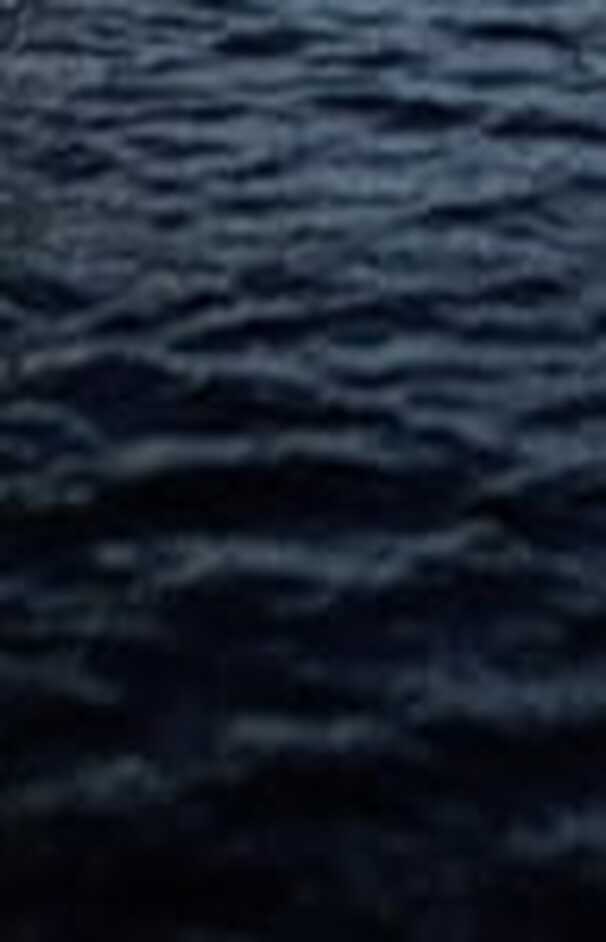 loading placeholder image