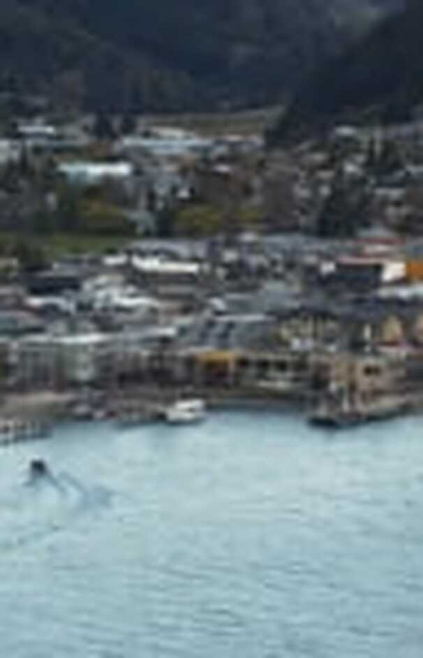 loading placeholder image