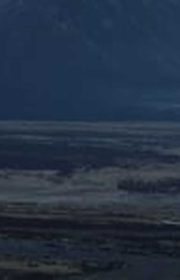 loading placeholder image