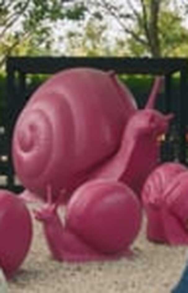 loading placeholder image