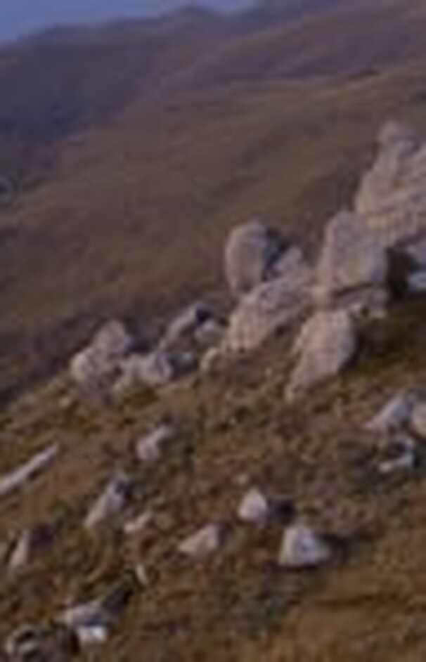 loading placeholder image