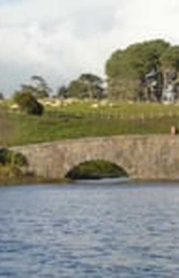 loading placeholder image