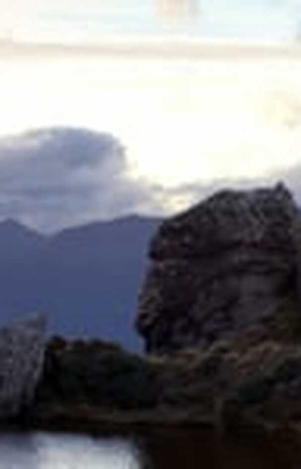 loading placeholder image