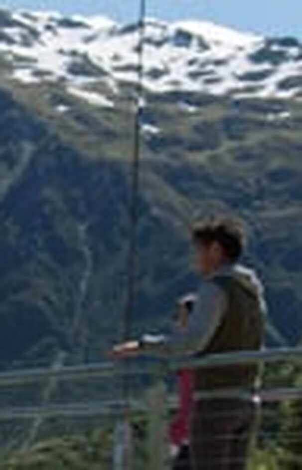 loading placeholder image