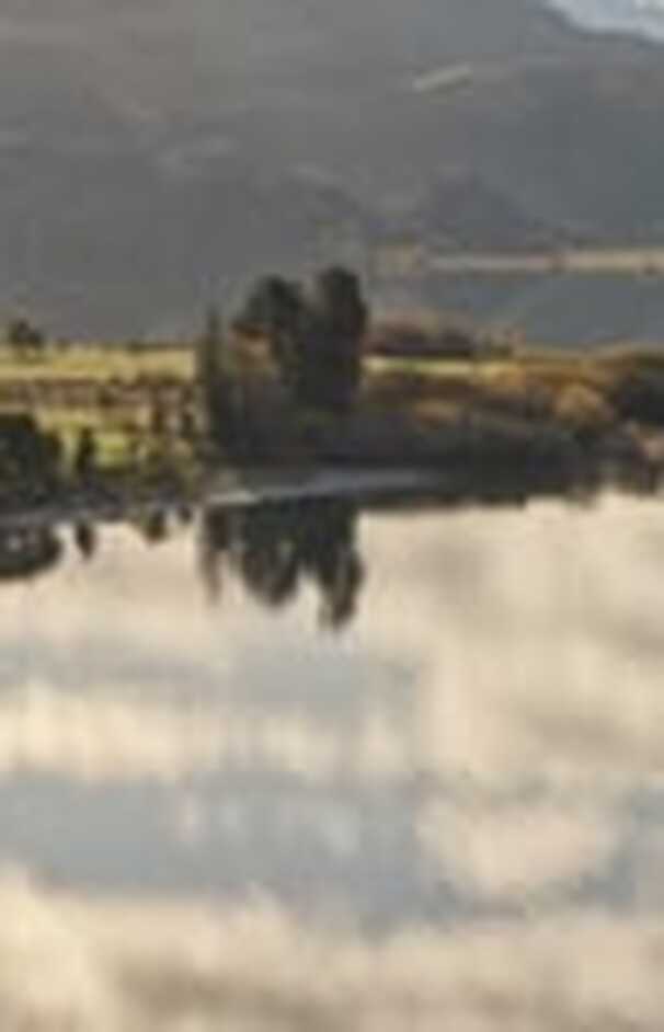 loading placeholder image