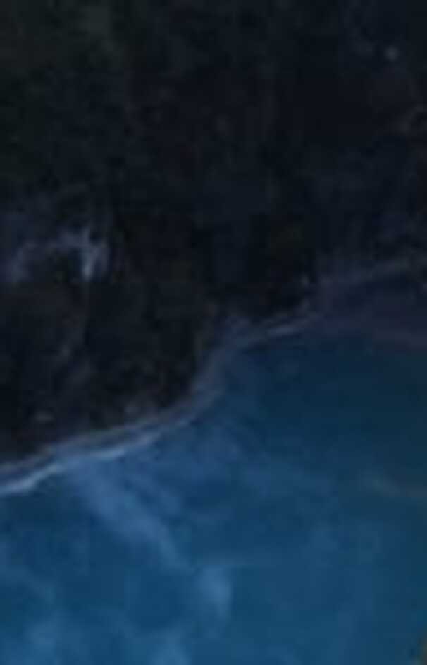 loading placeholder image