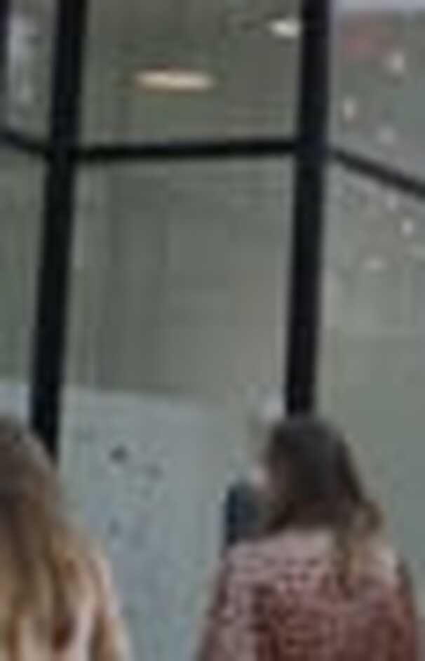 loading placeholder image