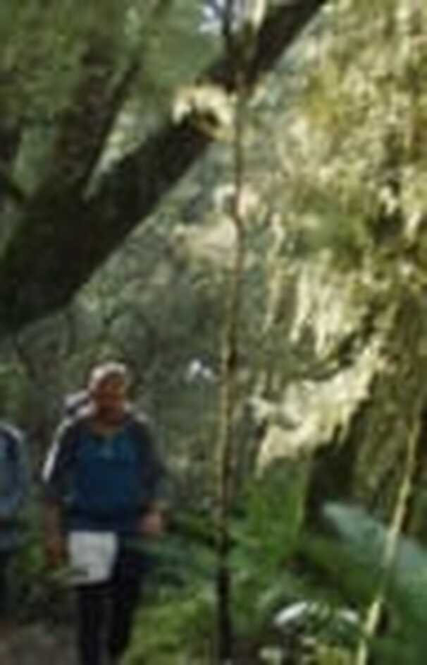 loading placeholder image