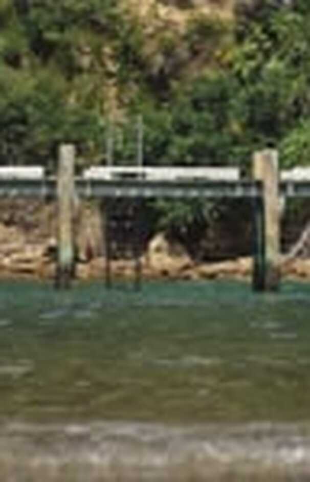 loading placeholder image