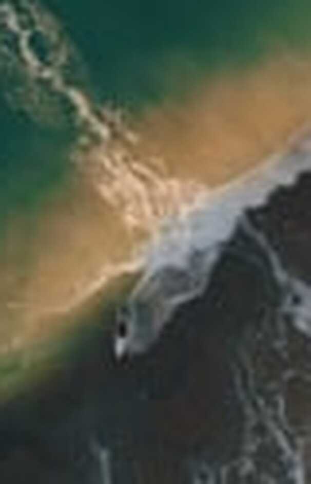 loading placeholder image