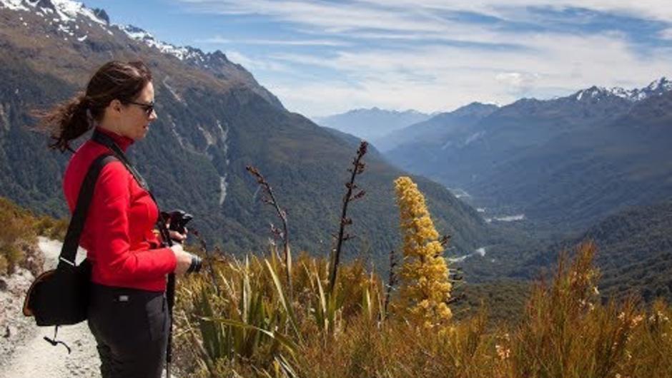 Explore the Routeburn Track, a New Zealand Great Walk on foot with Trips and Tramp. Discover the alpine scenery of Key Summit and learn from your local guide about the native fauna and flora.