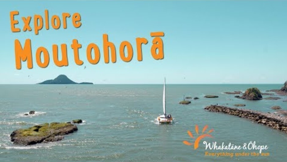 An amazing day out exploring Moutohorā (Whale Island) of the coast of Whakatāne with Whale Island Kayaking. Visit our website to find out more: http://www.whakatane.com