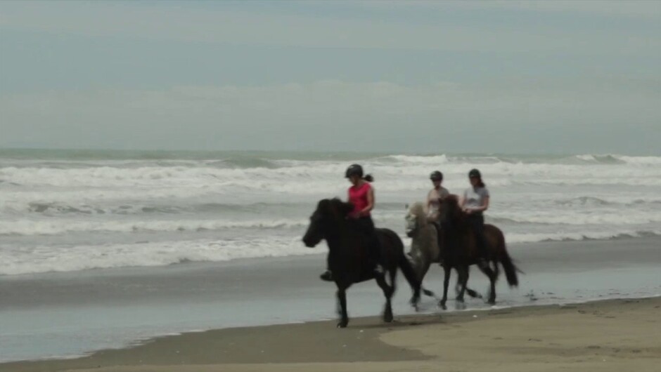 Great Fun Horse Trekking