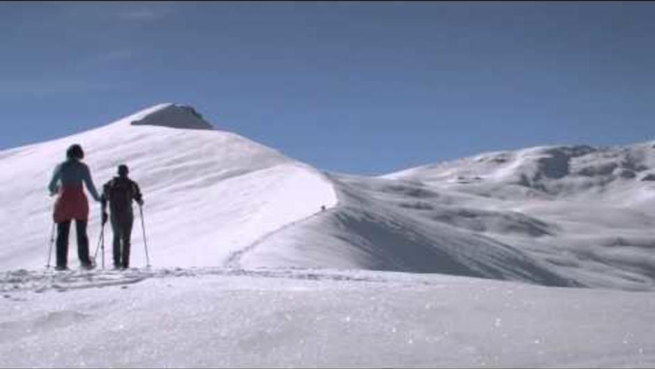 Snowshoeing with Alpine Recreation