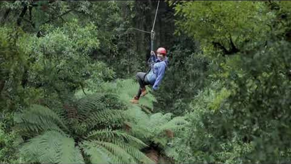 Rotorua Canopy Tours 15 Sec